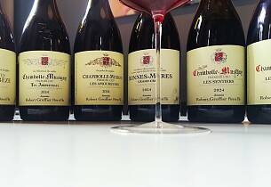 Baron' Arques 1998 (0.75 l) - Aperitif.no